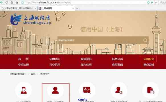 信用上海官网：查询、下载及服务大厅入口