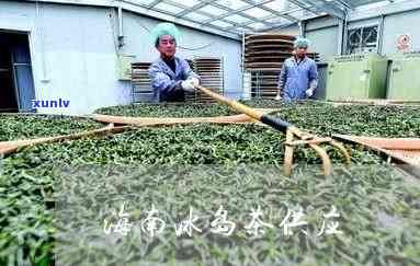 冰岛茶业公司：一家专业的茶叶生产商和供应商，提供全方位的茶叶服务。