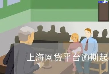 云南普洱茶特卖及品种一览：优质茶叶推荐与选购指南