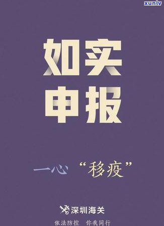 深圳预约小程序：查询、打印及网点预约全攻略