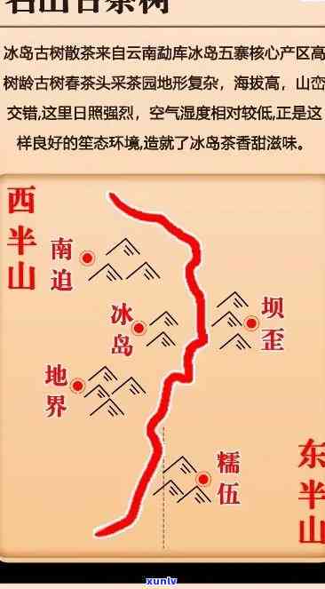 冰岛茶产区地图，探索冰岛茶之谜：揭秘其茶叶产区分布全图