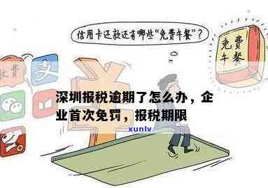 深圳报税逾期了怎么办？首次免罚政策及处罚标准，报税期限、截止日期全解析