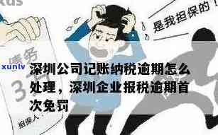 深圳报税逾期了怎么办？首次免罚政策及处罚标准，报税期限、截止日期全解析