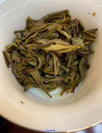 冰岛老寨一类古树茶有哪些，探秘冰岛老寨：一类古树茶品种全解析