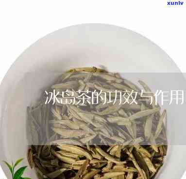 冰岛茶的功效与作用，揭秘冰岛茶的神奇功效与作用