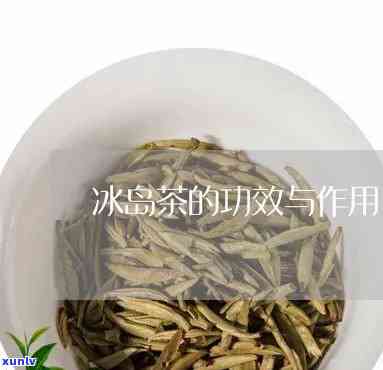 冰岛茶的价值和功效-冰岛茶的价值和功效与作用