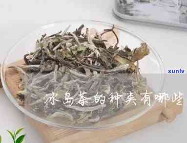 冰岛茶有哪几种名茶-冰岛茶有哪几种名茶品种