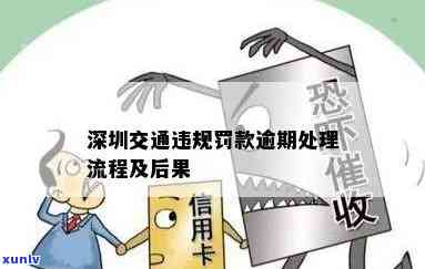 独龙玉与翡翠的全方位对比：从产地、质地、色彩到市场价值的区别解析