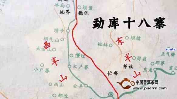 冰岛丙山古树茶价格-丙山茶和冰岛有什么区别