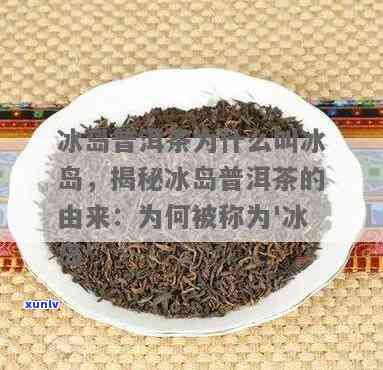 冰岛有机茶什么意思-冰岛有茶叶吗