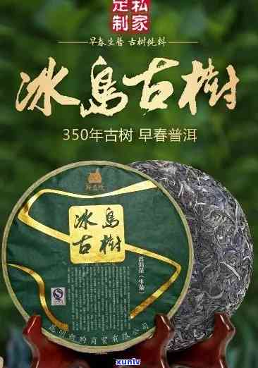 冰岛古树生茶的包装-冰岛古树茶生茶怎么泡