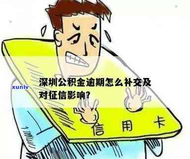 深圳公积金逾期怎么补交，深圳公积金逾期怎样补交？详细指南在此！