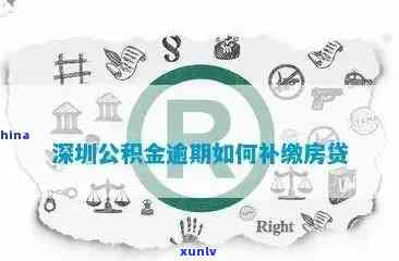 深圳公积金贷款逾期补扣流程及作用：逾期多久会扣款？怎么补交？