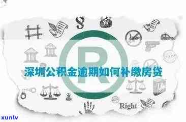 深圳市公积金逾期补缴-深圳市公积金逾期补缴政策