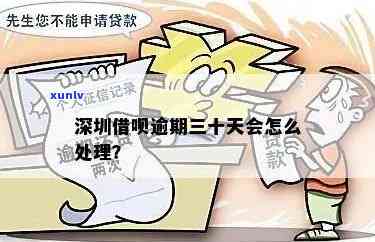 深圳借呗逾期解决  详解：步骤、作用及解决策略