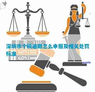 深圳个税申报逾期罚款计算  及解决方法