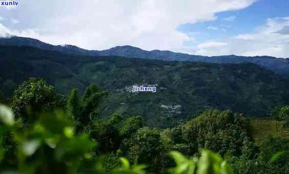 景谷有什么茶山，探秘云南景谷的茶园风光：哪些茶山值得一游？