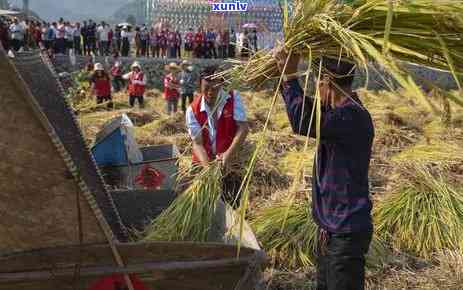 桐庐有什么好的茶叶厂？推荐几个品质上乘的及地址