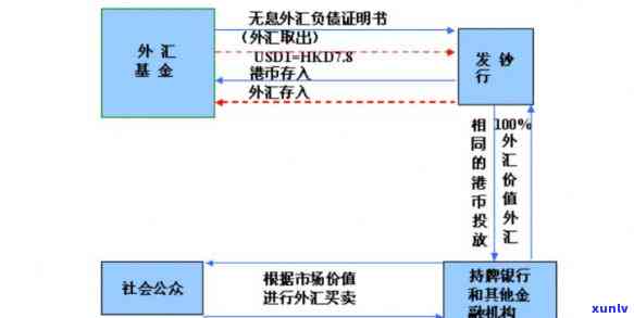 深圳外汇逾期收款申报时间及流程规定，试点开放与备案须知