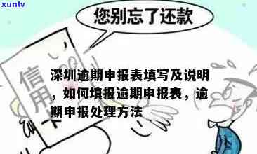 深圳外汇逾期收款申报-深圳外汇逾期收款申报流程