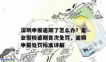 深圳企业报税逾期首次免罚政策及解决方法解析