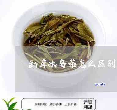 勐库冰岛茶名和种类-勐库冰岛茶介绍