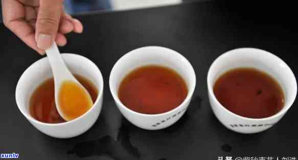 红泥壶泡什么茶，探究搭配：红泥壶泡哪种茶最美味？