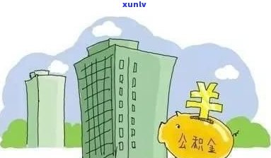 上海公积金逾期怎么办？贷款、欠缴、后缴纳全解析