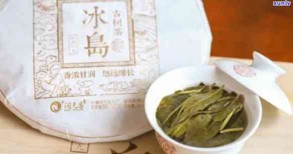 冰岛古树茶为什么好-冰岛古树茶为什么好喝