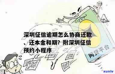 深圳借贷逾期怎么办理期还款？详细流程及申请步骤全攻略