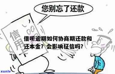 深圳借呗逾期怎么协商还本金，怎样协商深圳借呗逾期的本金还款？