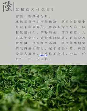 形容冰岛茶的关键词语，探索冰岛茶的独特魅力：揭示其关键词语