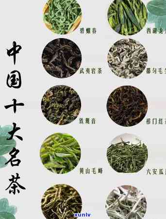 茶叶十大名牌有哪些牌子？全网销量、口碑双好评！