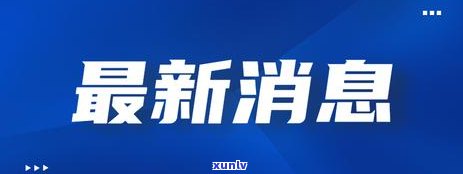 上海商票逾期付款官司：判决结果及作用分析