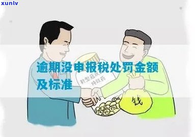 逾期抄报税罚款标准及含义解析