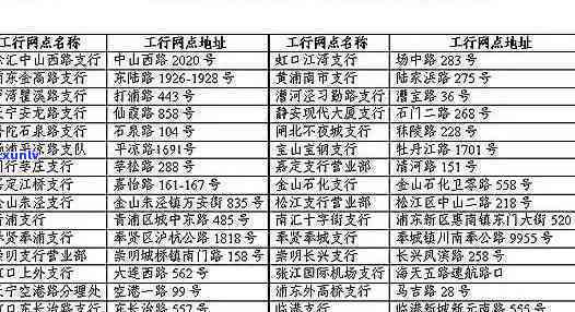 上海缴纳罚款：地址、标准、处罚及交纳方式全指南