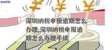 深圳个税逾期窗口申报怎么操作，怎样在深圳实施个税逾期窗口申报？详细步骤解析