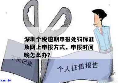 深圳个税逾期窗口申报怎么操作，怎样在深圳实施个税逾期窗口申报？详细步骤解析