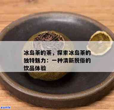 冰岛古树茶叶，探索神秘的冰岛古树茶叶：一种独特的饮品体验