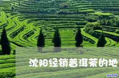 辽阳卖茶叶好的地方在哪，寻找辽阳的茶叶销售地点？看这里！