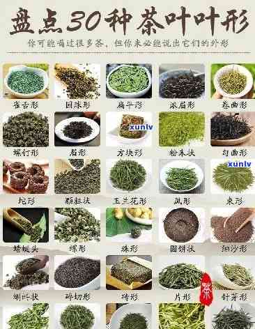 茶叶的是什么茶叶品种，探寻茶叶之最：哪种茶叶品种口感？