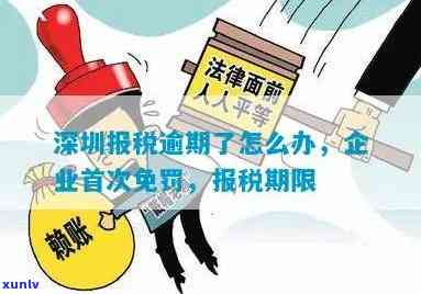 深圳税务逾期留意事：首次免罚政策及解决  