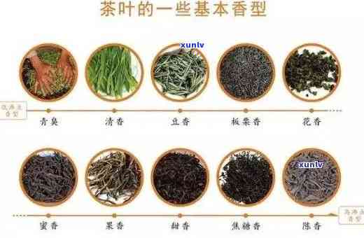 比较香的茶叶是哪个品种？探讨其优劣与图片展示