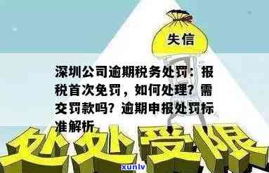 深圳逾期申报处罚标准全解析：最新规定、首次免罚及个税逾期解决办法