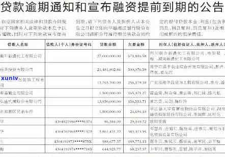 华集团信贷业务逾期-华集团信贷业务逾期怎么办