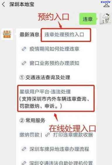 深圳违停多久可以交罚款？全攻略：处理期限、网上查询及交费方式