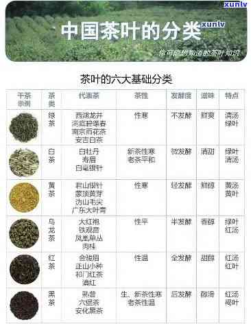 中国有多少个茶叶品种？探究茶叶世界的丰富多样性