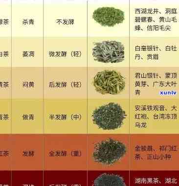 茶叶种类排名前十名-茶叶种类排名前十名有哪些