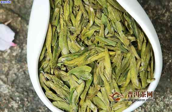 龙芽茶叶属于什么茶种？详解其分类与特点