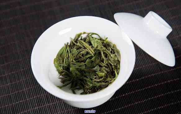 龙芽茶叶属于什么茶-龙芽茶叶属于什么茶类